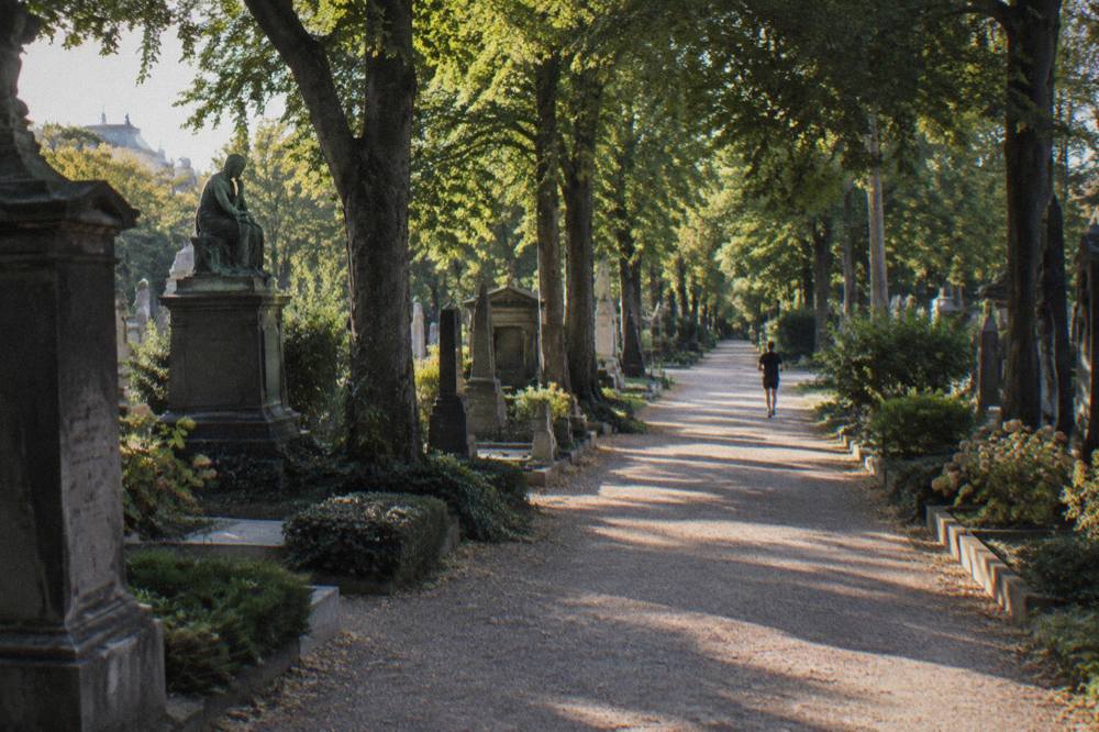Lápidas antiguas y árboles frondosos a lo largo de un ancho camino de grava en el cementerio de Assistens