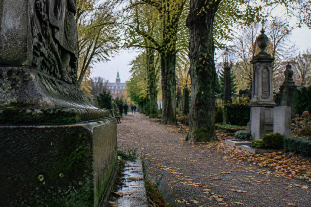 Árboles altos y antiguos junto a monumentos de piedra desgastados en un paisaje de cementerio verde