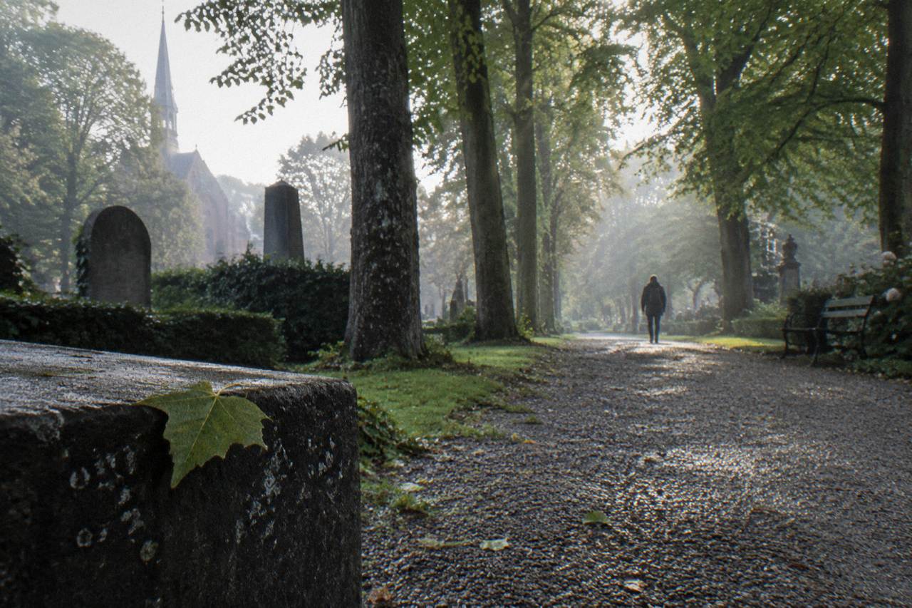 Tree-lined gravel path through Assistens Cemetery with old headstones and green canopy