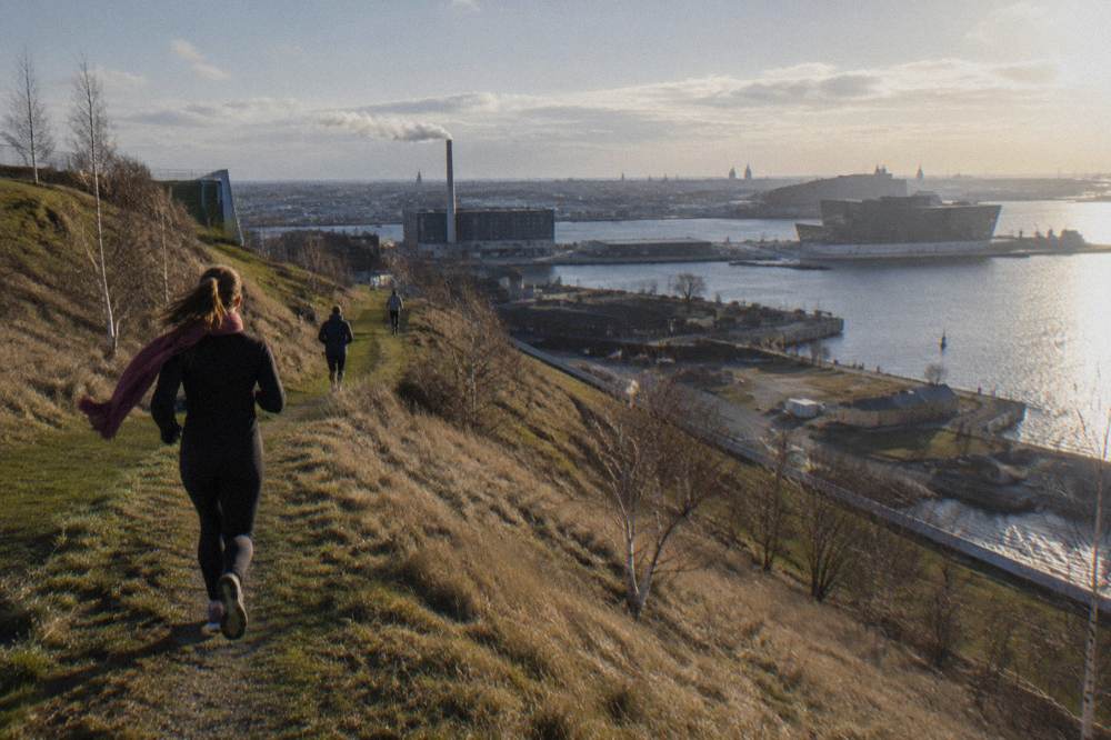 A sloping rooftop hiking trail with grass and trees looking out over harbour water and distant city rooftops