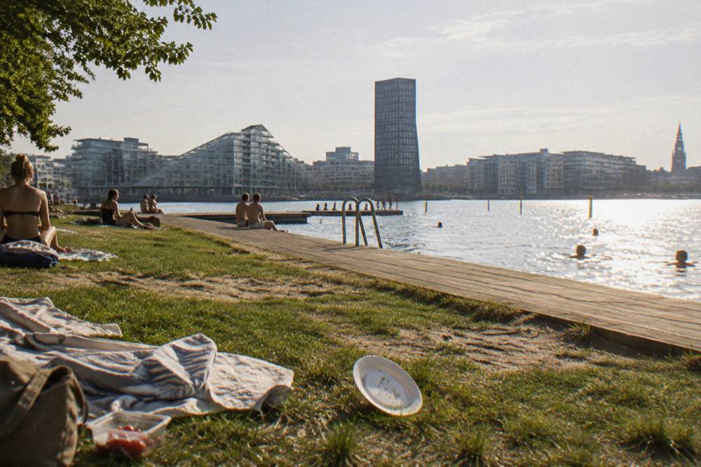 A sunny lawn beside a harbour bath with people picnicking near a wooden swim platform