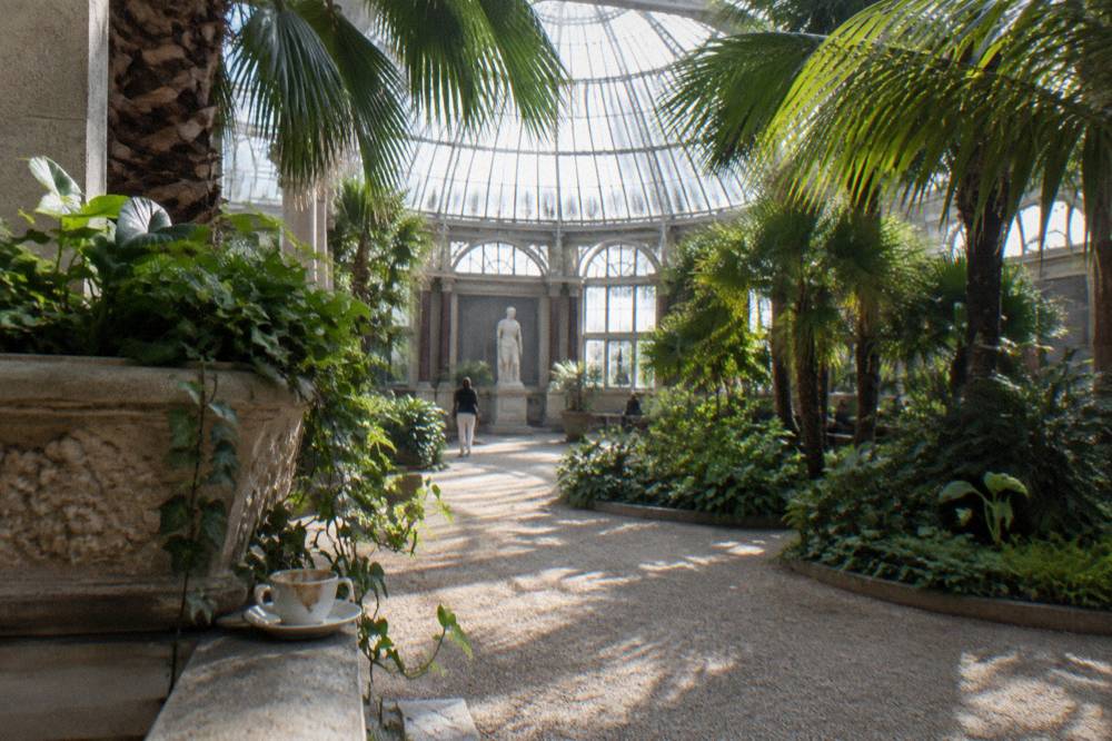 Winter garden atrium with palm trees under a glass dome in a Copenhagen museum