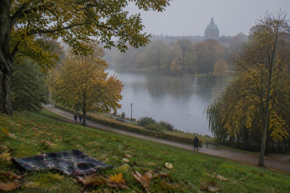 Grass slope and tree canopy in a large park with a lake curving through the landscape