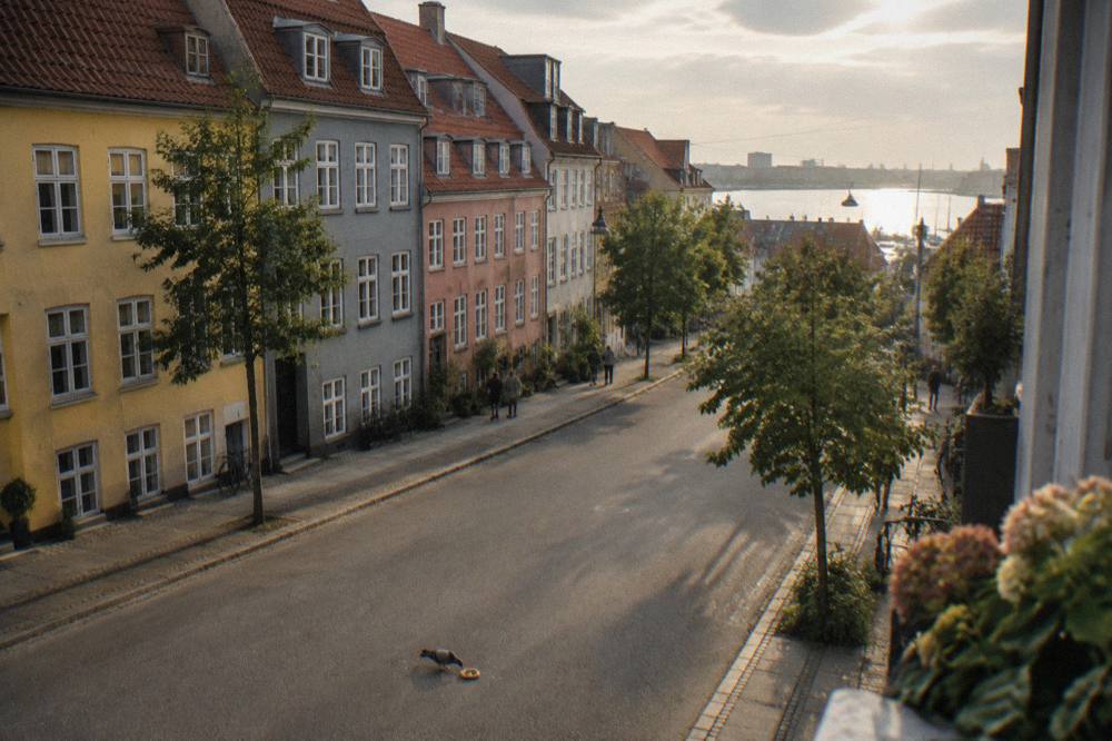 Cyclists crossing a Copenhagen street with the city's colourful buildings in the background on a summer day