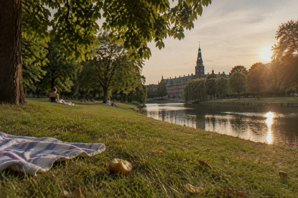People relaxing on a grassy park lawn beside a city canal in soft evening light