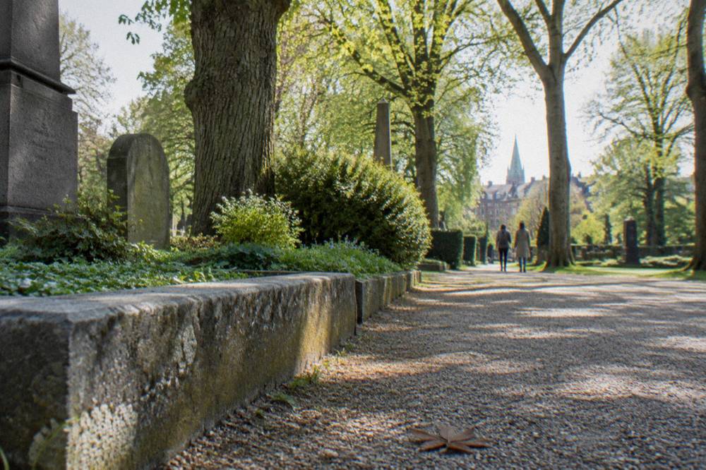 A public park path lined with trees and benches on a bright day